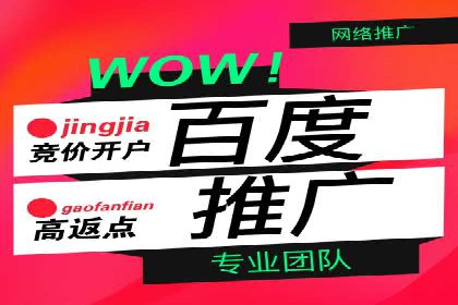 百度推广代理的投放策略及效果评估案例